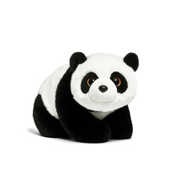 Aut dolor a qui ullam ipsum.