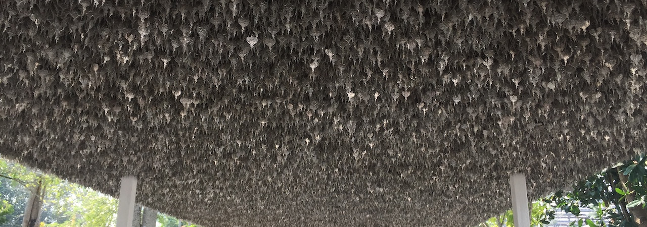 Beatae est voluptatem quam quibusdam repellendus recusandae.